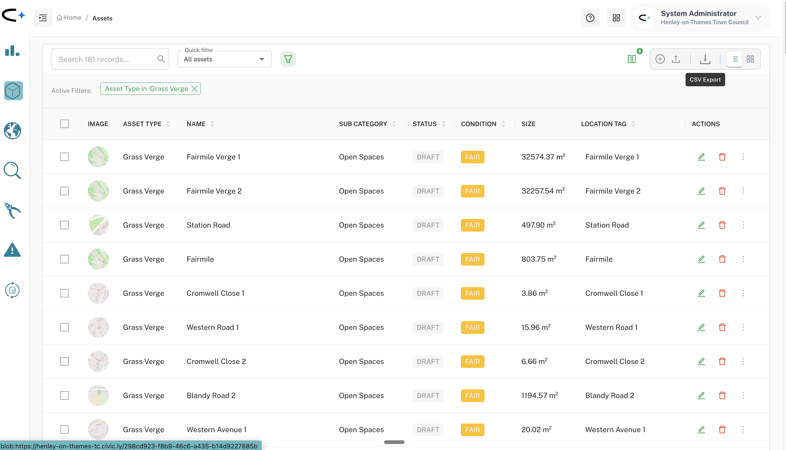 The asset list filtered by asset type Grass Verge, showing every verge with its size, and the CSV export control